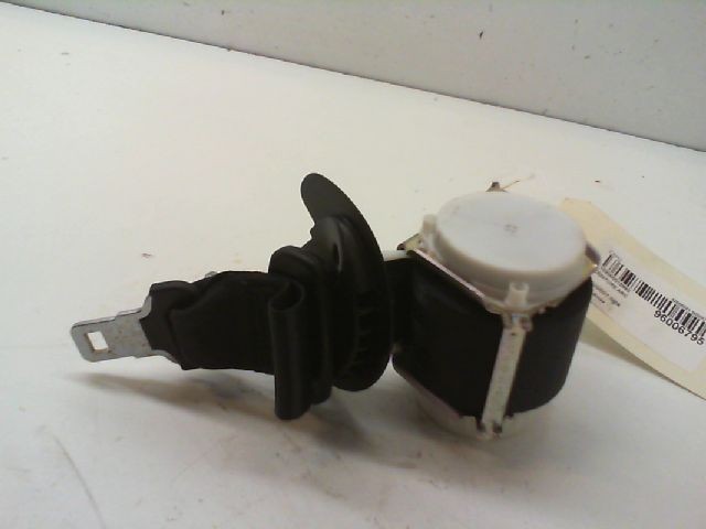 CEINTURE ARC