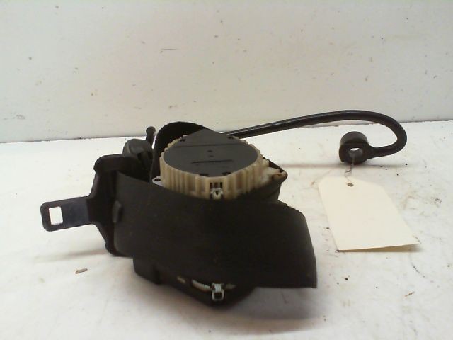 CEINTURE AVD