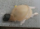 VASE EXPANSION