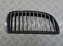 GRILLE CALANDRE D