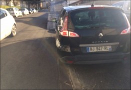 RENAULT SCENIC III